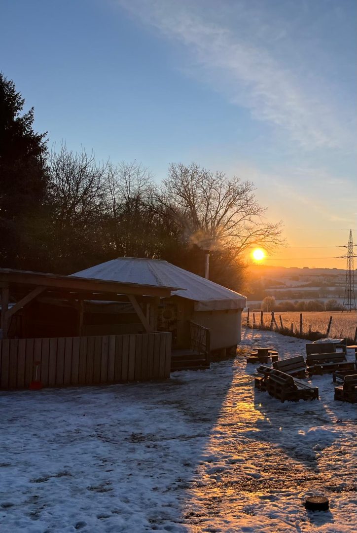 Winterliche Hofszene mit tief stehender Sonne über verschneitem Feld